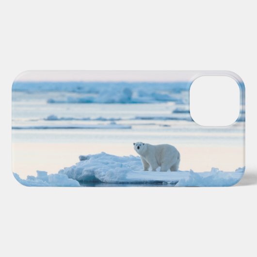 IJs en sneeuw | Polar Beer Iceberg Noorwegen iPhone Hoesje (Achterkant horizontaal)