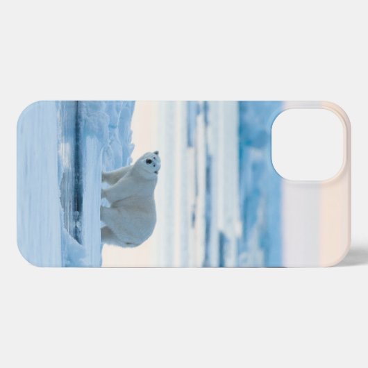 IJs en sneeuw | Polar Beer Iceberg Noorwegen iPhone Hoesje (Achterkant horizontaal)