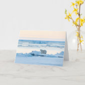 IJs en sneeuw | Polar Beer Iceberg Noorwegen Kaart (Gele Bloem)