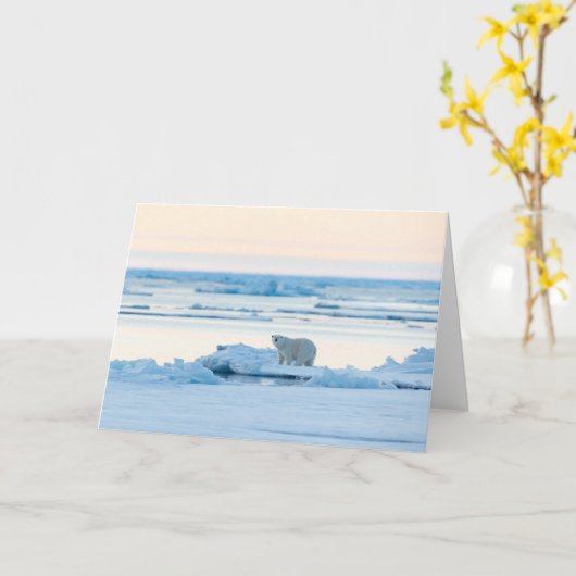 IJs en sneeuw | Polar Beer Iceberg Noorwegen Kaart (Gele Bloem)