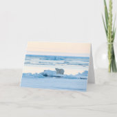 IJs en sneeuw | Polar Beer Iceberg Noorwegen Kaart (Voorkant)