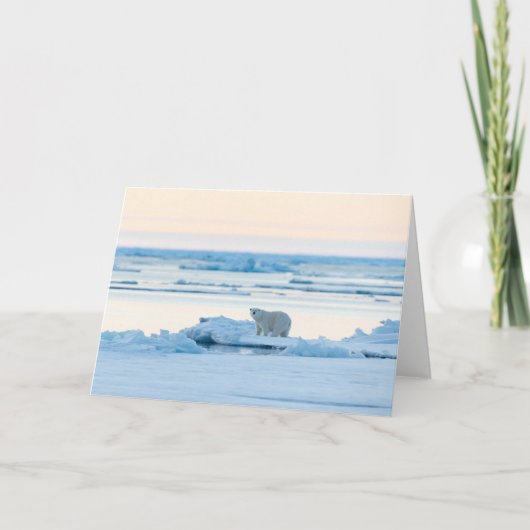 IJs en sneeuw | Polar Beer Iceberg Noorwegen Kaart (Voorkant)