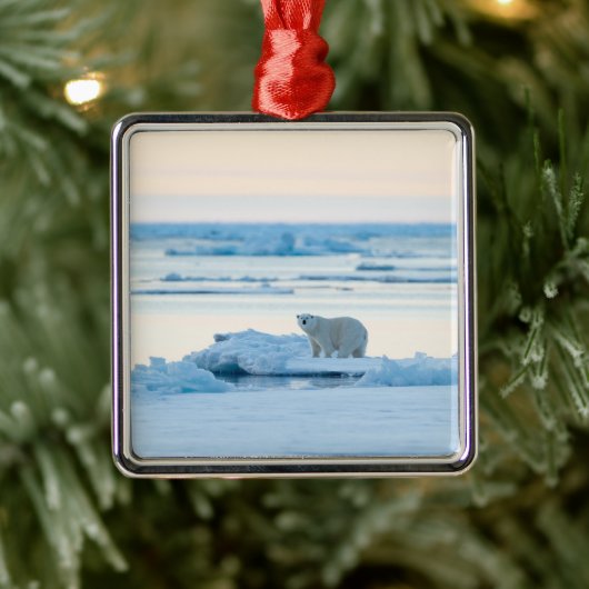 IJs en sneeuw | Polar Beer Iceberg Noorwegen Metalen Ornament (Boom)