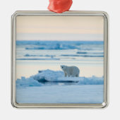 IJs en sneeuw | Polar Beer Iceberg Noorwegen Metalen Ornament (Voorkant)