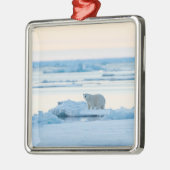 IJs en sneeuw | Polar Beer Iceberg Noorwegen Metalen Ornament (Links)