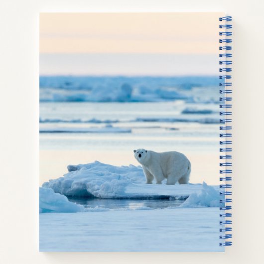 IJs en sneeuw | Polar Beer Iceberg Noorwegen Notitieboek (Achterkant)