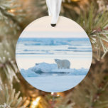 IJs en sneeuw | Polar Beer Iceberg Noorwegen Ornament<br><div class="desc">Deze geweldige Getty Afbeeldingen foto is voorzien van een Polair Beer dat op ijs loopt en op zoek is naar eten.</div>