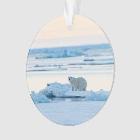IJs en sneeuw | Polar Beer Iceberg Noorwegen Ornament (voorkant)