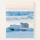 IJs en sneeuw | Polar Beer Iceberg Noorwegen Planner (Achterkant)