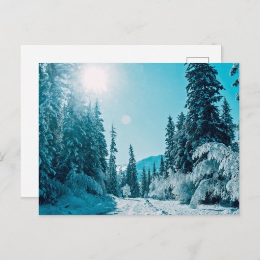 IJs en sneeuw | Reserve voor de Natuur van Altai,  Briefkaart (Voorkant / Achterkant)