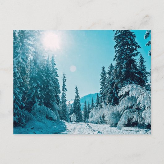 IJs en sneeuw | Reserve voor de Natuur van Altai,  Briefkaart (Voorkant)