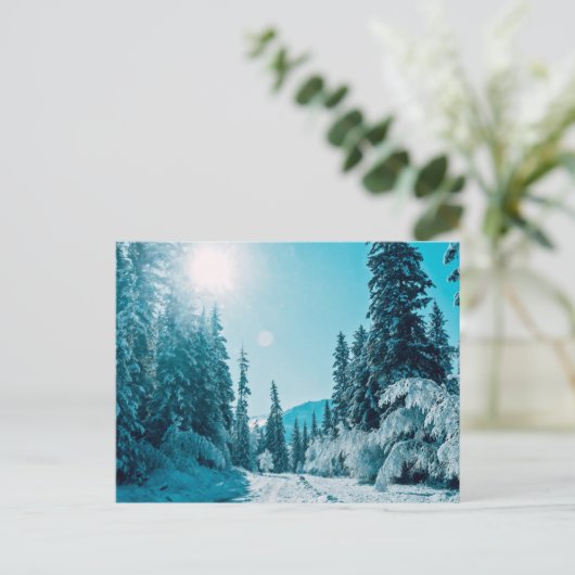 IJs en sneeuw | Reserve voor de Natuur van Altai,  Briefkaart (Staand voorkant)