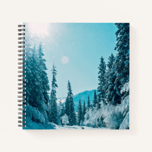 IJs en sneeuw   Reserve voor de Natuur van Altai,  Notitieboek