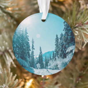 IJs en sneeuw Reserve voor de Natuur van Altai, Ornament