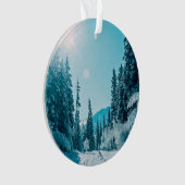 IJs en sneeuw | Reserve voor de Natuur van Altai, Ornament (voorkant)