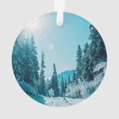 IJs en sneeuw | Reserve voor de Natuur van Altai, Ornament (achterkant)