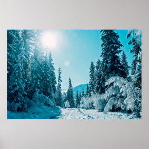 IJs en sneeuw   Reserve voor de Natuur van Altai,  Poster