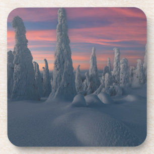 IJs en sneeuw   Sneeuwwerende bomen, Lapland, Finl Bier Onderzetter