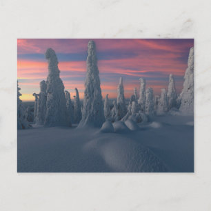 IJs en sneeuw Sneeuwwerende bomen, Lapland, Finl Briefkaart