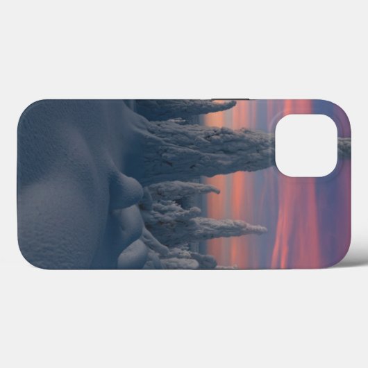IJs en sneeuw | Sneeuwwerende bomen, Lapland, Finl Case-Mate iPhone Case (Achterkant (horizontaal))