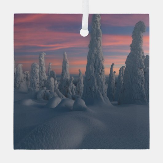 IJs en sneeuw | Sneeuwwerende bomen, Lapland, Finl Glas Ornament (Achterkant)