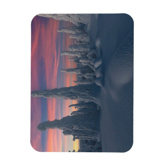 IJs en sneeuw | Sneeuwwerende bomen, Lapland, Finl Magneet (Verticaal)