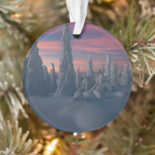 IJs en sneeuw Sneeuwwerende bomen, Lapland, Finl Ornament
