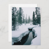 IJs en sneeuw | Streaming in een sneeuwwinterlands Briefkaart (Voorkant / Achterkant)