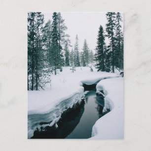 IJs en sneeuw   Streaming in een sneeuwwinterlands Briefkaart