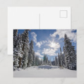 IJs en sneeuw | Sunrise Snow Alberta, Canada Briefkaart (Voorkant / Achterkant)