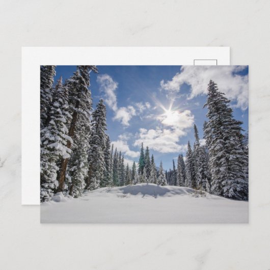 IJs en sneeuw | Sunrise Snow Alberta, Canada Briefkaart (Voorkant / Achterkant)