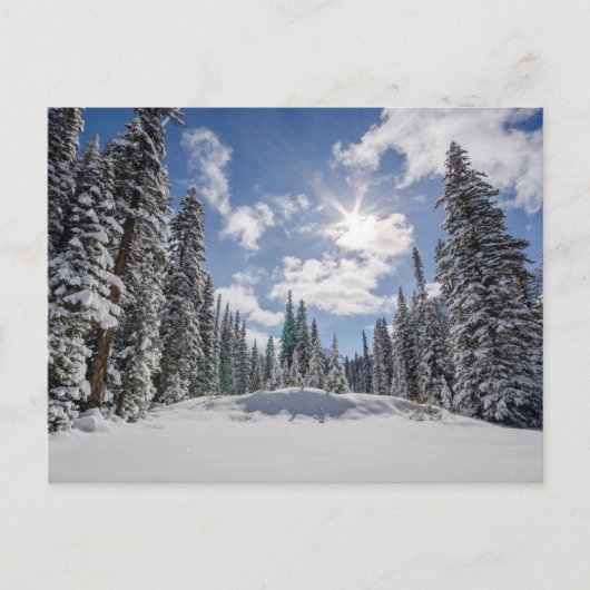 IJs en sneeuw | Sunrise Snow Alberta, Canada Briefkaart (Voorkant)