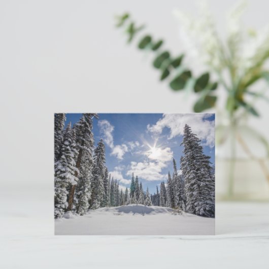 IJs en sneeuw | Sunrise Snow Alberta, Canada Briefkaart (Staand voorkant)