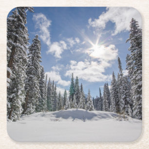 IJs en sneeuw   Sunrise Snow Alberta, Canada Kartonnen Onderzetters