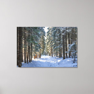 IJs en sneeuw Tatra-gebergte, Polen Canvas Afdruk