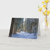 IJs en sneeuw | Tatra-gebergte, Polen Kaart (Gele Bloem)