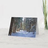 IJs en sneeuw | Tatra-gebergte, Polen Kaart (Voorkant)