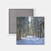IJs en sneeuw | Tatra-gebergte, Polen Magneet (Voorkant / Achterkant)