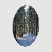 IJs en sneeuw | Tatra-gebergte, Polen Ornament (voorkant)