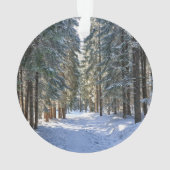 IJs en sneeuw | Tatra-gebergte, Polen Ornament (achterkant)