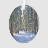 IJs en sneeuw | Tatra-gebergte, Polen Ornament (voorkant)