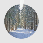 IJs en sneeuw | Tatra-gebergte, Polen Ornament (voorkant)