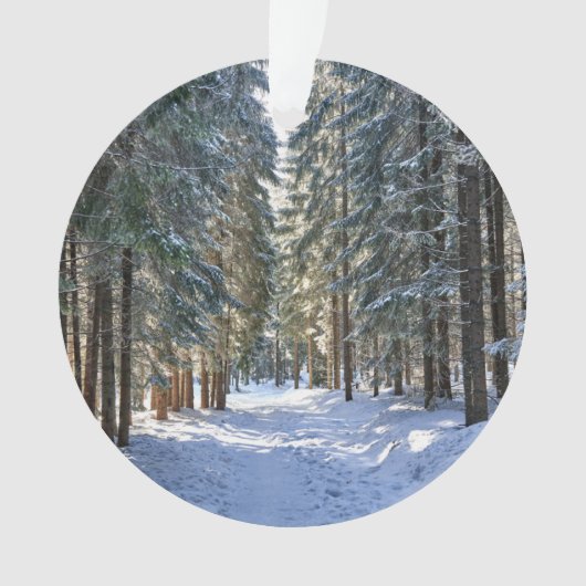 IJs en sneeuw | Tatra-gebergte, Polen Ornament (voorkant)