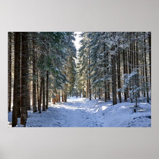 IJs en sneeuw | Tatra-gebergte, Polen Poster (Voorkant)