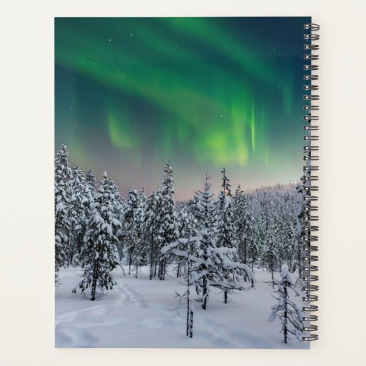 IJs en sneeuw | Winterlandschap in Finland Planner (Achterkant)