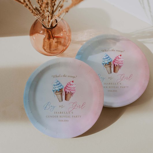 IJs Geslacht onthullen wat is de scoop Papieren Bordje