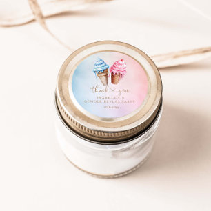 IJs Geslacht onthullen wat is de scoop Ronde Sticker