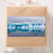 IJs in Antarctica Etiket (Insitu)