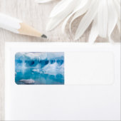 IJs in Antarctica Etiket (Insitu)