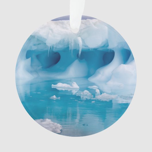 IJs in Antarctica Ornament (voorkant)